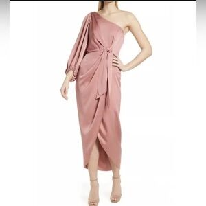 NWT Romantic, Feminine Silhouette Shona Joy One Shoulder Dress Pink Rose Size 8